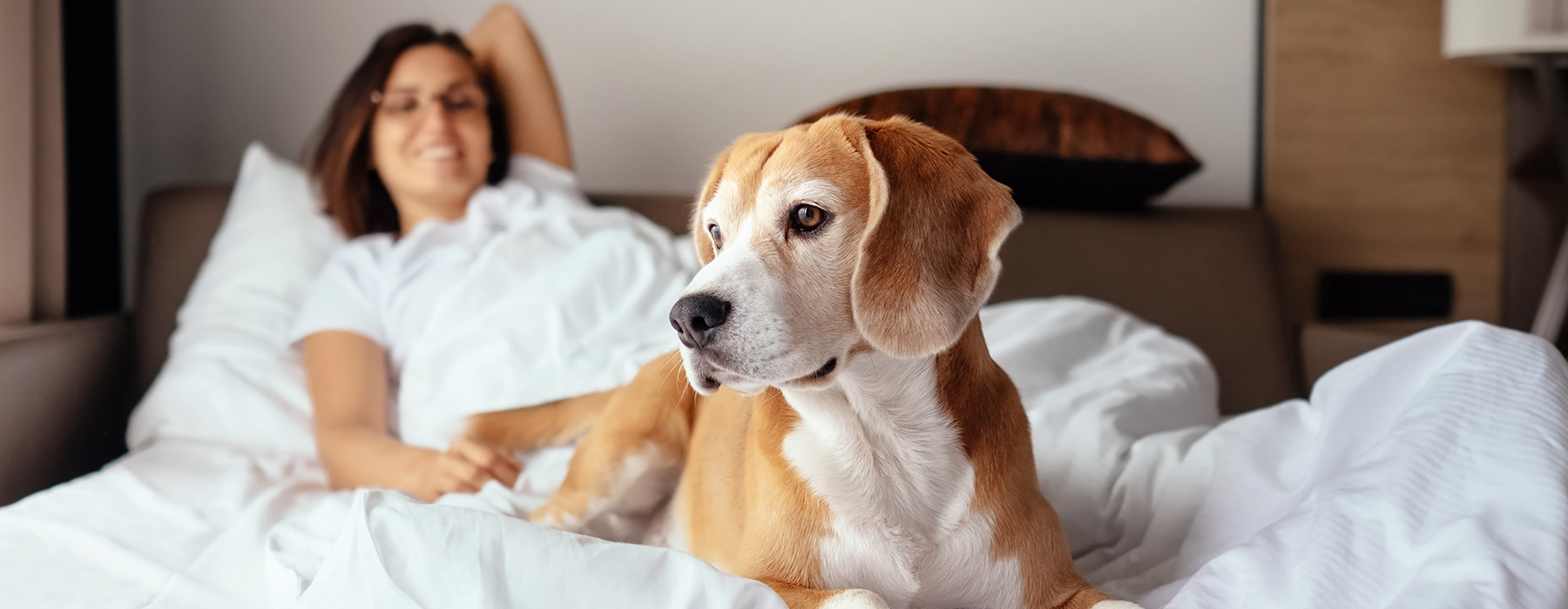 Pet-Friendly hotel in Lighthouse Avenue, California